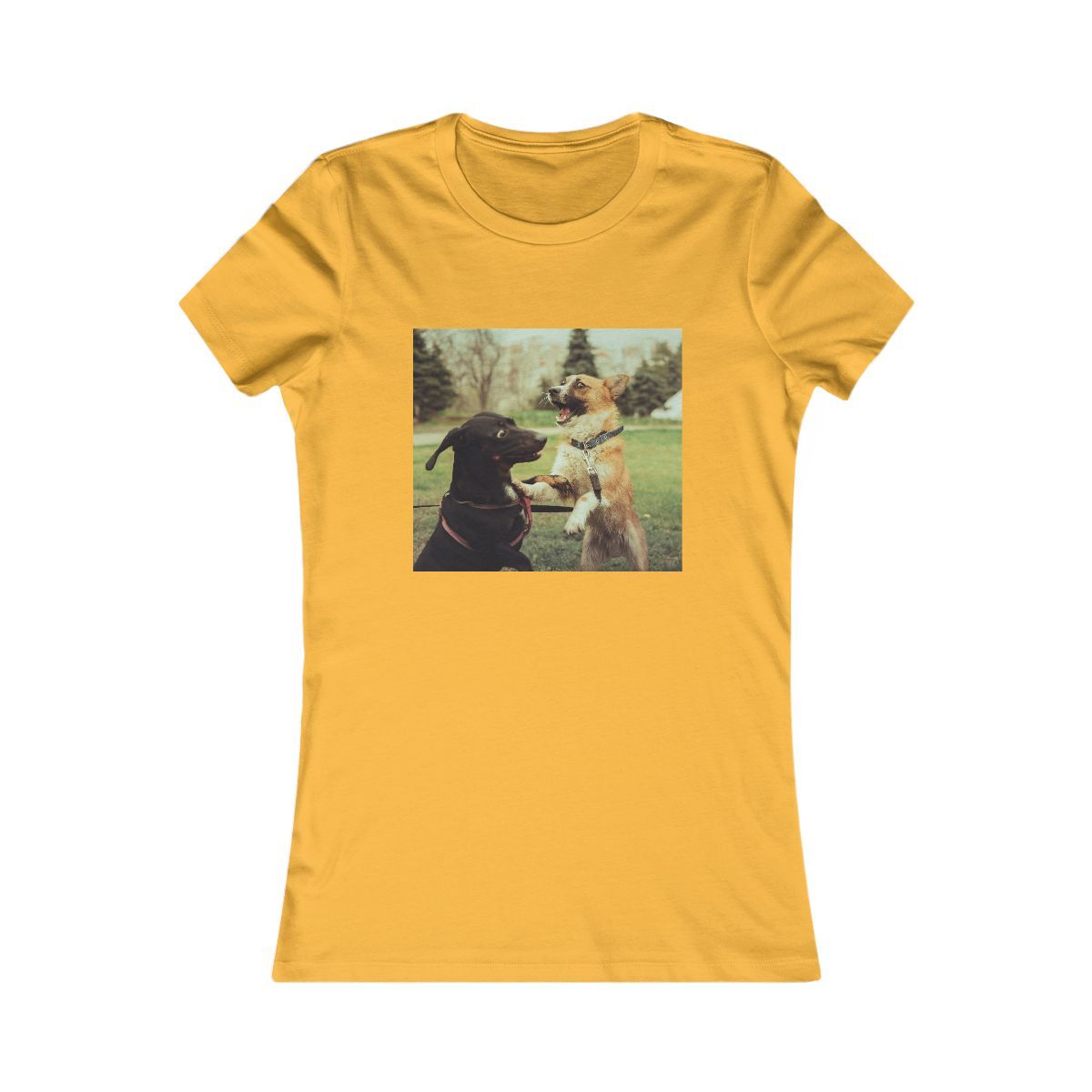 Dogs 001