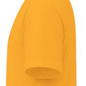 Cat 001